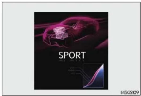 SPORT 1145GS109