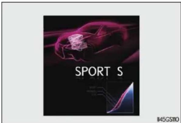 SPORT S 145GS110