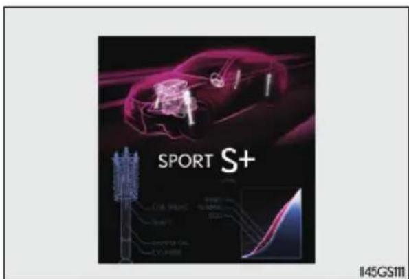 SPORT S+ 145GS111