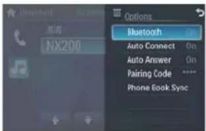 Bluetooth Options Bluetooth On Auto Connect On Auto Answer On Pairing Code ***** Phone Book Sync