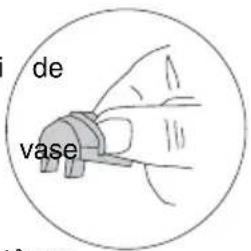 de vase