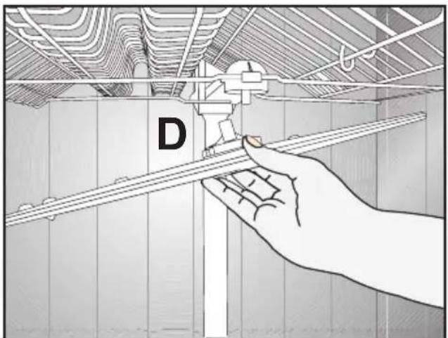 D