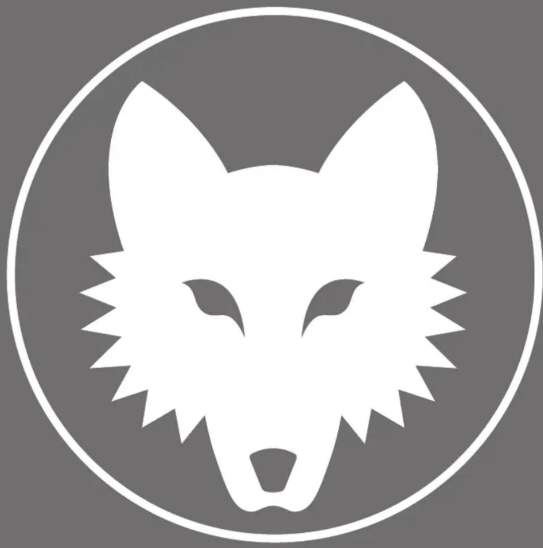 Wolf Garten A 460 A V HW - Defektu konstatēšana un novēršana - 1