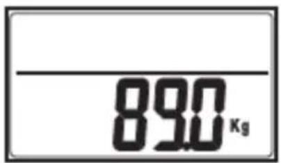 890 Kg