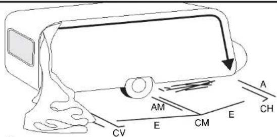 CV E CM E AM A CH