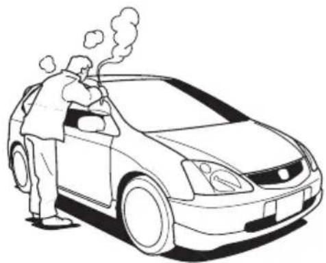 Honda Civic Type R (2002) - ドアの凍結 - 1