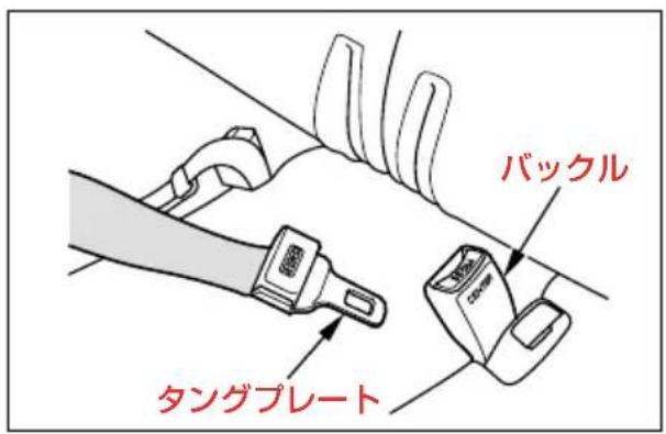バックル タングプレート