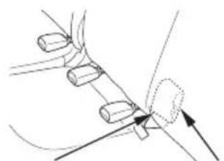 Honda Mobilio Spike (2003) - 知識 - 1