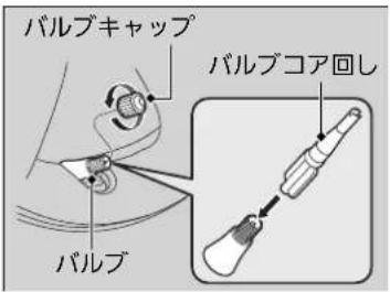 パルプキャップ パルプコア回し パルプ