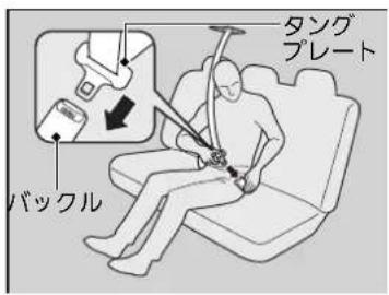 タング プレート バックル