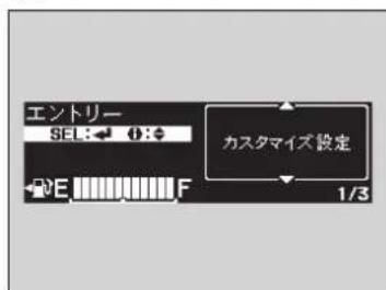 エントリー SEL:← ⏻:◆ カスタマイズ設定 E F 1/3