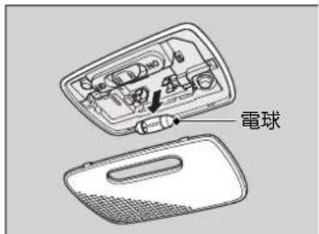 電球
