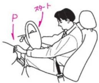 P x4-t