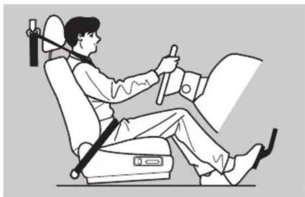 Honda Elysion (2007) - 運転席 - 1