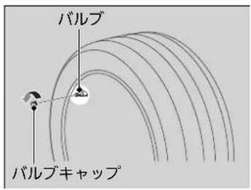 パルプ パルプキャップ