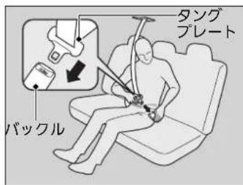 タング プレート バックル