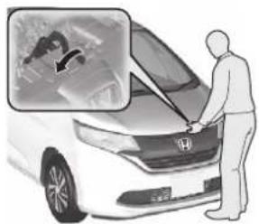 Honda Freed Plus (2017) - P.302 - 4