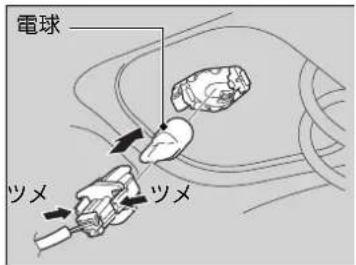 電球 ツメ ツメ
