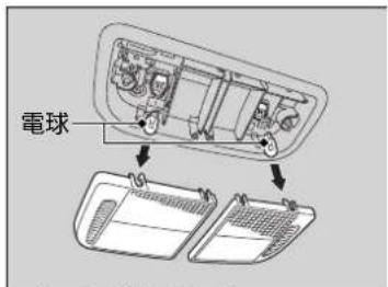 電球
