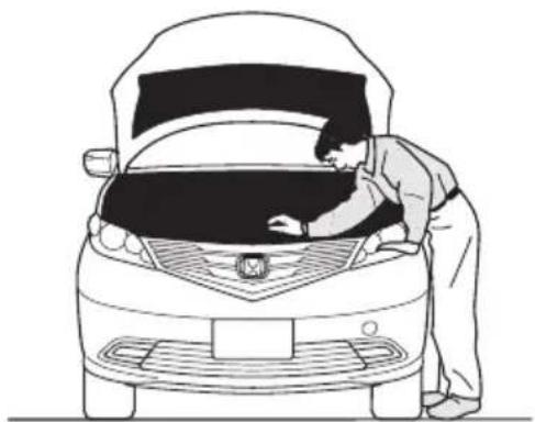 Honda Elysion (2009) - - 点検整備の種類 - 1