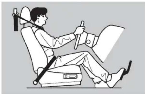 Honda Elysion (2009) - 運転席 - 1