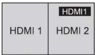 PANASONIC TH-98LQ70LW - 4K input with 2 terminals (Dual Link) - 1