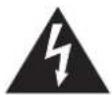 PANASONIC TH-98LQ70LW - RISK OF ELECTRIC SHOCK DO NOT OPEN - 2