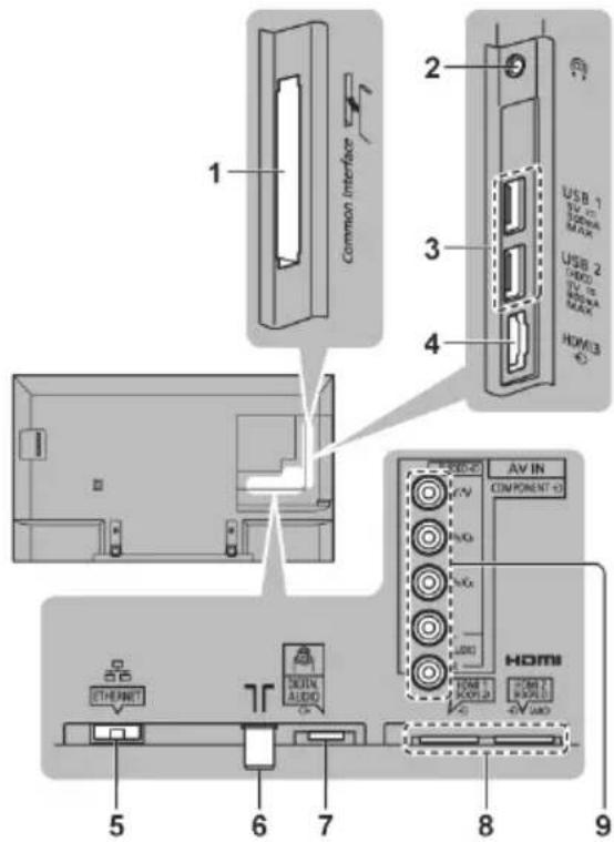 PANASONIC Viera TX-55DXU601E - Povezivanje - 1