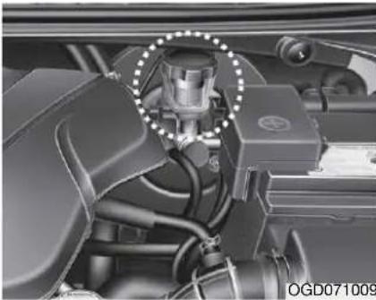 KIA Cee'd Sportswagon (2014) - TEKUĆINA KOČNICE/SPOJKE - 1
