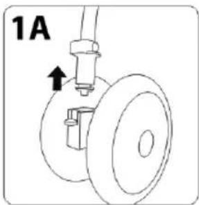 1A