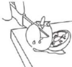 Simple line drawing of a hand cutting a tomato into a bowl (no text or symbols).