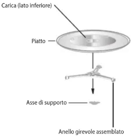 Carica (lato inferiore) Piatto Asse di supporto Anello girevole assemblato