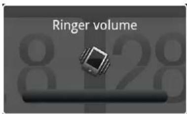 Ringer volume 8 28