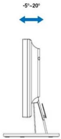 ASUS VW199DR - Adjusting the monitor - 1