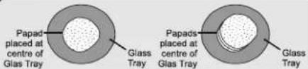 Papad placed at centre of Glas Tray Glass Glass Papads placed at centre of Glas Tray Glass Glass