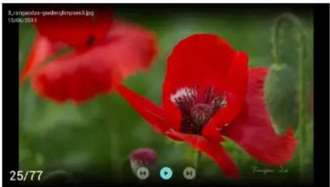 PHILIPS 58PUN6204 - 사진 보기 - 1