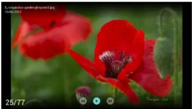 PHILIPS 55PUN6214 - 사진 보기 - 1