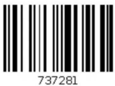 737281