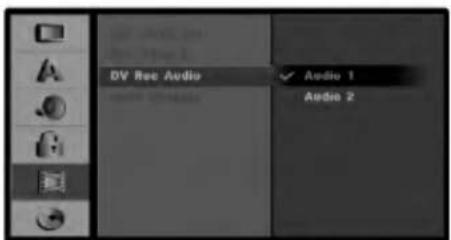 DV Ree Audio Audio 1 Audio 2