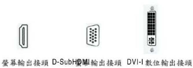 螢幕輸出接頭 D-SubHDMI 輸出接頭 DVI-I 數位輸出接頭