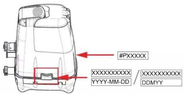 #PXXXXX XXXXXXXXXX /XXXXXXXXXX YYYY-MM-DD / DDMYY