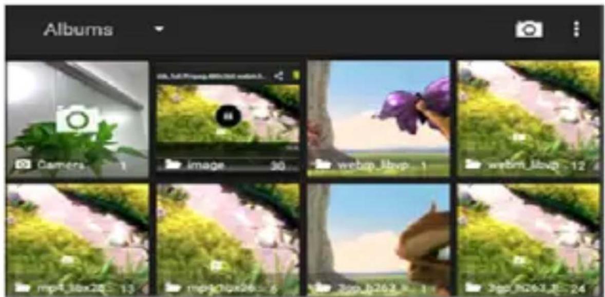 Albums Camera 1 image 30 webbp_1bvp 1 webm_1bvp 12 mp4_bpx26 13 mpjc0bx26 6 7pm_b263 1 3pm_0x261.8 24
