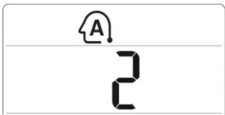 A 2
