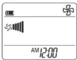 AM 12:00