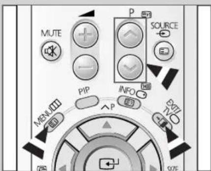 MUTE P SOURCE P/P INFO MEN & MO P SIZE
