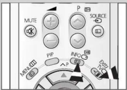 MUTE P SOURCE PIP INFO MENU BNT