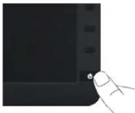 DELL E2013H - Power On the Monitor - 1