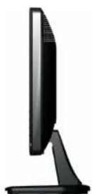 DELL E2013H - Side View - 1
