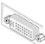 DELL E1911 - Connecting Your Monitor - 3