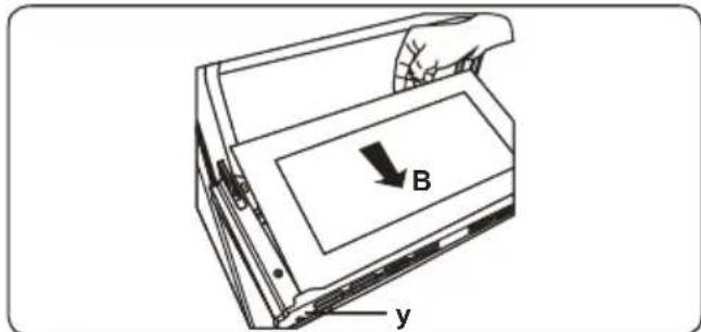 B y